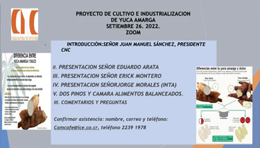 Cultivo e industrialización de yuca amarga